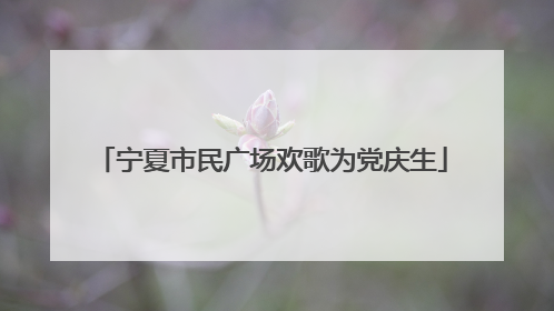 宁夏市民广场欢歌为党庆生