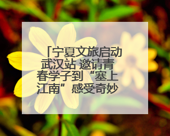 宁夏文旅启动武汉站 邀请青春学子到“塞上江南”感受奇妙之旅