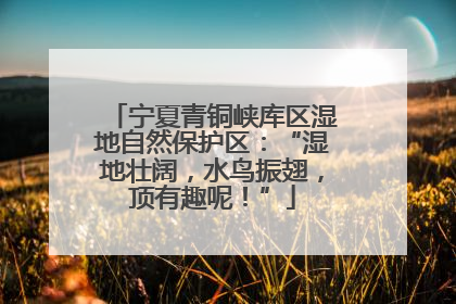 宁夏青铜峡库区湿地自然保护区：“湿地壮阔，水鸟振翅，顶有趣呢！”