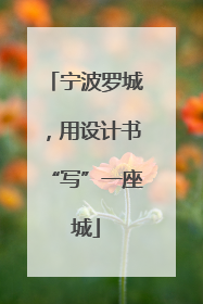 宁波罗城，用设计书“写”一座城