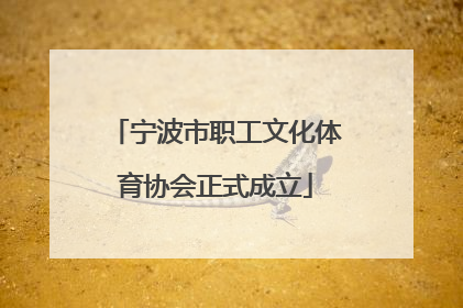 宁波市职工文化体育协会正式成立