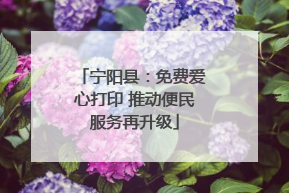 宁阳县：免费爱心打印 推动便民服务再升级