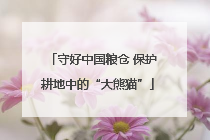 守好中国粮仓 保护耕地中的“大熊猫”
