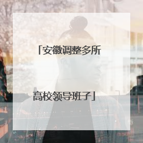安徽调整多所高校领导班子