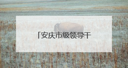 安庆市级领导干部赴九成监狱开展警示教育活动