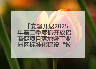 安溪开展2025年第二季度抓开放招商促项目落地暨工业园区标准化建设“拉练”活动