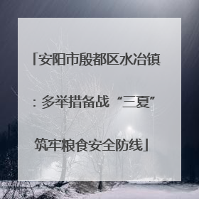 安阳市殷都区水冶镇：多举措备战“三夏” 筑牢粮食安全防线