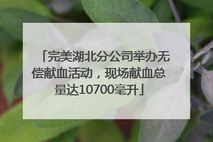 完美湖北分公司举办无偿献血活动，现场献血总量达10700毫升
