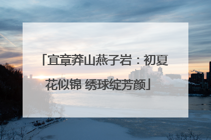 宜章莽山燕子岩：初夏花似锦 绣球绽芳颜