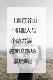 宜章莽山：机器人与企鹅共舞 暑期文旅场景焕新