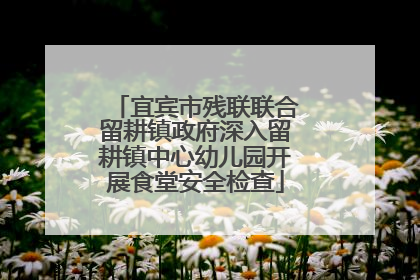 宜宾市残联联合留耕镇政府深入留耕镇中心幼儿园开展食堂安全检查