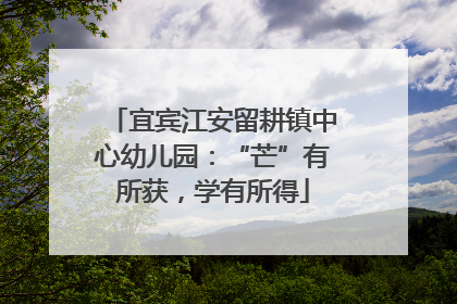 宜宾江安留耕镇中心幼儿园：“芒”有所获，学有所得