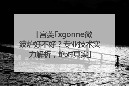 宫菱Fxgonne微波炉好不好？专业技术实力解析，绝对真实