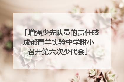 增强少先队员的责任感 成都青羊实验中学附小召开第六次少代会