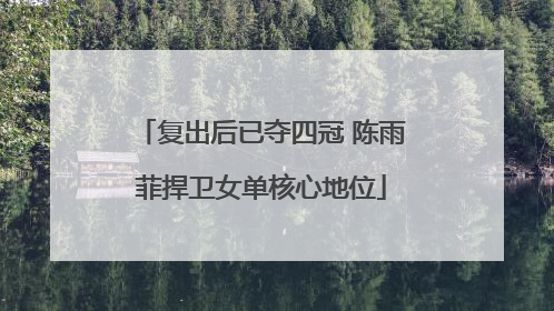 复出后已夺四冠 陈雨菲捍卫女单核心地位