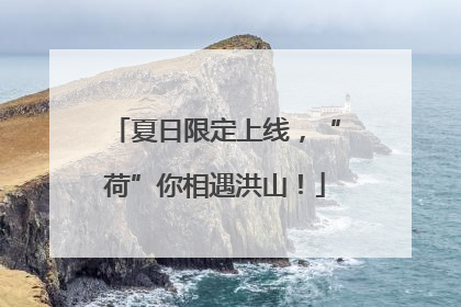 夏日限定上线，“荷”你相遇洪山！