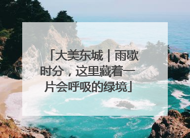 大美东城｜雨歇时分，这里藏着一片会呼吸的绿境