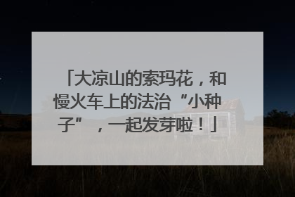 大凉山的索玛花，和慢火车上的法治“小种子”，一起发芽啦！