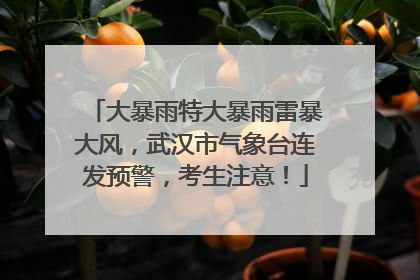 大暴雨特大暴雨雷暴大风，武汉市气象台连发预警，考生注意！