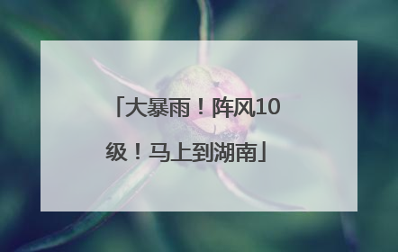 大暴雨！阵风10级！马上到湖南