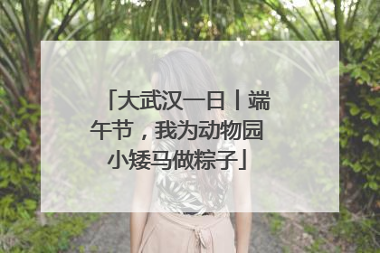 大武汉一日丨端午节，我为动物园小矮马做粽子