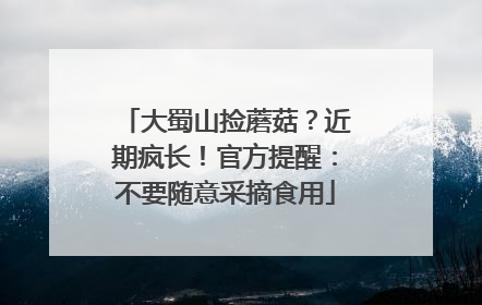 大蜀山捡蘑菇？近期疯长！官方提醒：不要随意采摘食用