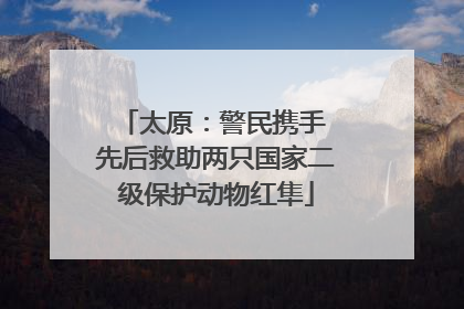 太原：警民携手 先后救助两只国家二级保护动物红隼