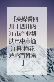 央媒看四川丨四川内江市产业帮扶巴中市通江县 梅花鸡鸣百姓富