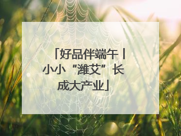 好品伴端午丨小小“潍艾”长成大产业