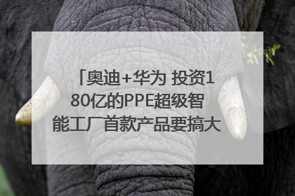 奥迪+华为 投资180亿的PPE超级智能工厂首款产品要搞大事情？｜粤港澳车展
