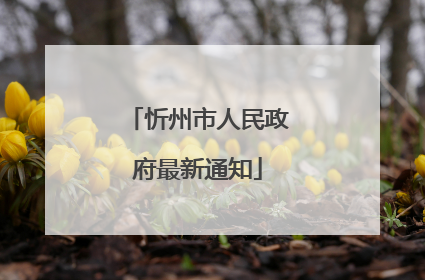 忻州市人民政府最新通知
