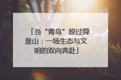 当“青鸟”掠过舜皇山：一场生态与文明的双向奔赴