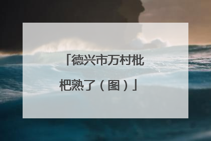 德兴市万村枇杷熟了（图）