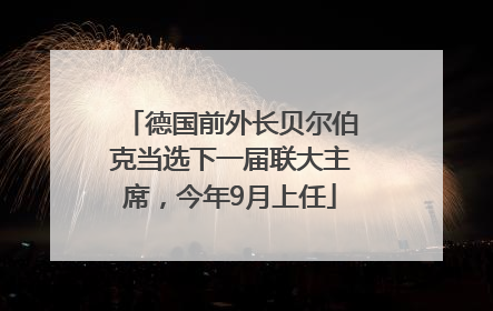 德国前外长贝尔伯克当选下一届联大主席，今年9月上任