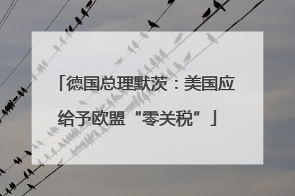 德国总理默茨：美国应给予欧盟“零关税”