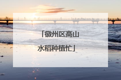 徽州区高山水稻种植忙