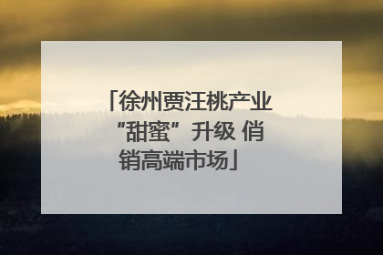 徐州贾汪桃产业“甜蜜”升级 俏销高端市场