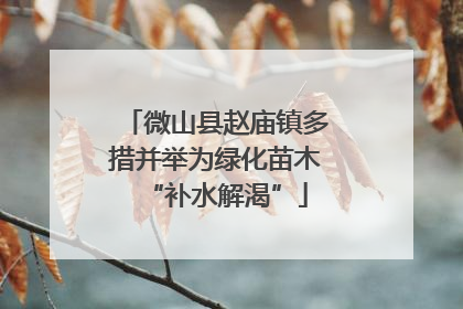 微山县赵庙镇多措并举为绿化苗木“补水解渴”