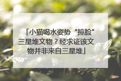 小猫喝水姿势“撞脸”三星堆文物？经求证该文物并非来自三星堆