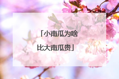 小南瓜为啥比大南瓜贵