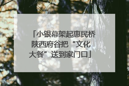 小银幕架起惠民桥 陕西府谷把“文化大餐”送到家门口