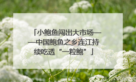 小鲍鱼闯出大市场——中国鲍鱼之乡连江持续吃透“一粒鲍”