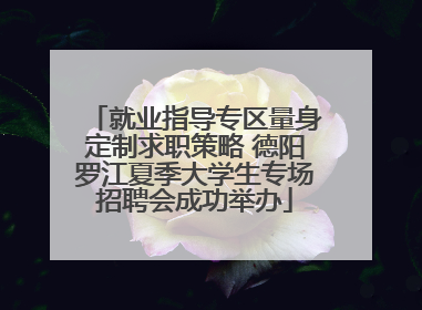 就业指导专区量身定制求职策略 德阳罗江夏季大学生专场招聘会成功举办