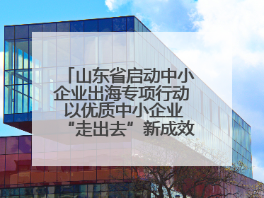 山东省启动中小企业出海专项行动 以优质中小企业“走出去”新成效展示山东产业发展新形象