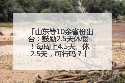 山东等10余省份出台：鼓励2.5天休假！每周上4.5天、休2.5天，可行吗？