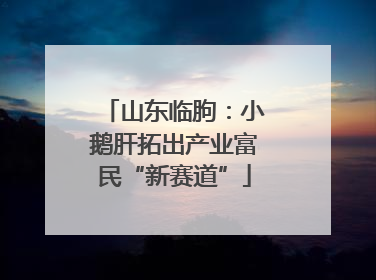 山东临朐：小鹅肝拓出产业富民“新赛道”