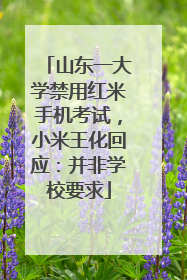 山东一大学禁用红米手机考试，小米王化回应：并非学校要求