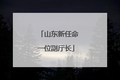 山东新任命一位副厅长