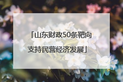 山东财政50条靶向支持民营经济发展