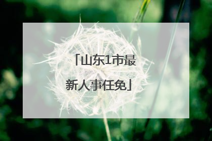 山东1市最新人事任免
